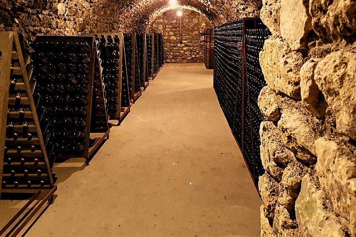 Champagne Day Trip from Reims: City Sightseeing, Three Family Growers, Nine Tastings (6/10)