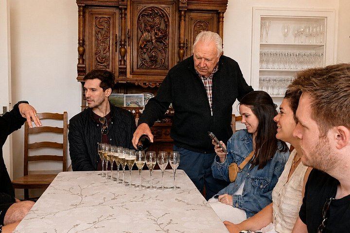 Champagne Day Trip from Reims: City Sightseeing, Three Family Growers, Nine Tastings (10/10)