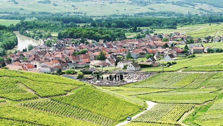 Champagne Day Trip from Paris: Reims, Hautvillers and Two Wineries, 6 Tastings (2/11)