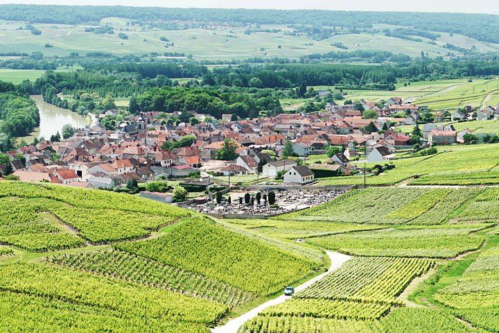 Champagne Day Trip from Paris: Reims, Hautvillers and Two Wineries, 6 Tastings (2/11)