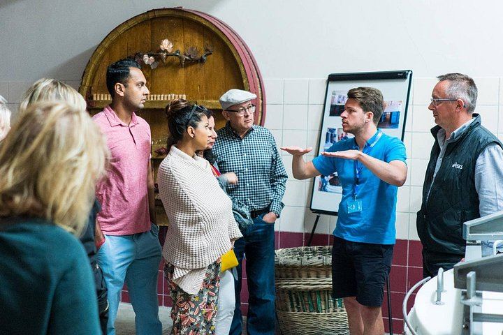Champagne Day Trip from Paris: Reims, Hautvillers and Two Wineries, 6 Tastings (10/11)