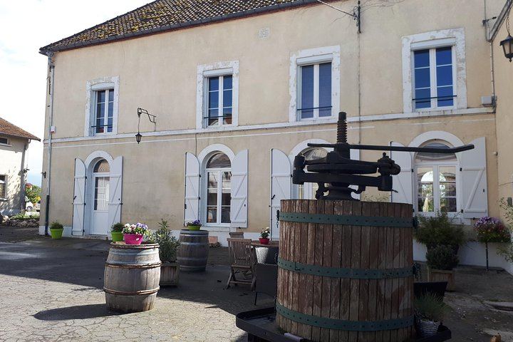 Champagne Lamiable Traditional Cellar Tour and Three Grand Cru Tastings, Tours-sur-Marne (3/5)