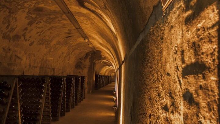 Private Half Day from Paris to Reims: Mumm Cellars, Reims Cathedral and Lunch (4/6)
