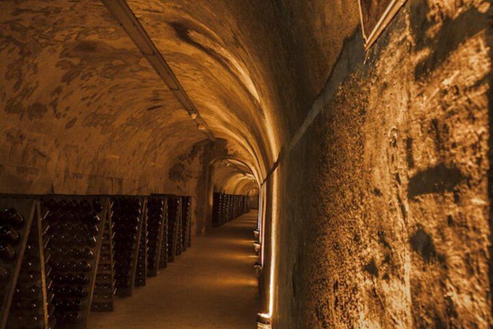 Private Half Day from Paris to Reims: Mumm Cellars, Reims Cathedral and Lunch (4/6)