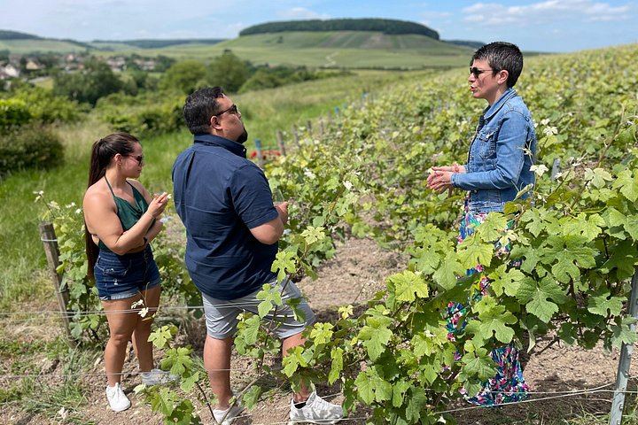 Half-Day Van Visit to Munoz Bruneau Family Champagne Estate, Épernay Pickup (10/12)