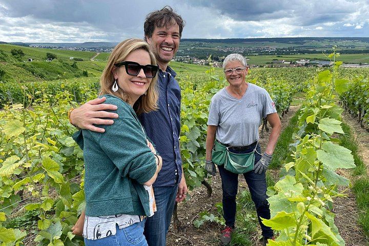 Half-Day Van Visit to Munoz Bruneau Family Champagne Estate, Épernay Pickup (8/12)