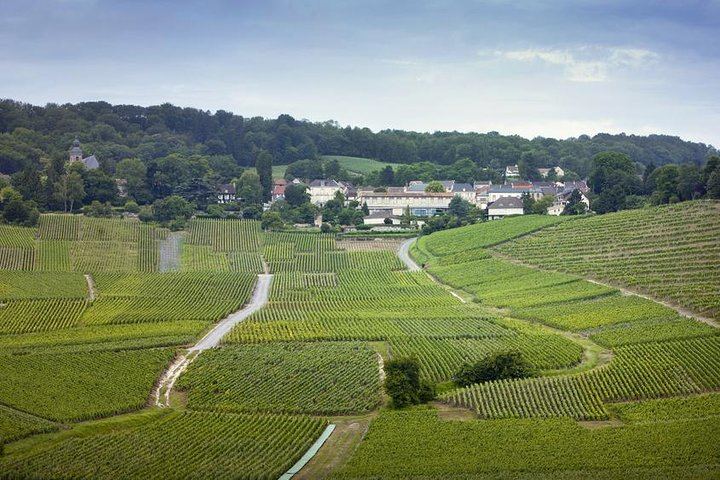 Private Champagne Day Trip from Paris, Licensed Guide: Two Houses and a Small Producer (2/12)