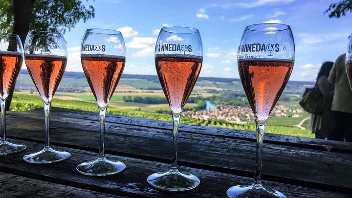 Champagne Day Trip from Paris: Hotel Pickup, Cellars, Vineyard and Lunch, 8 Tastings (3/12)