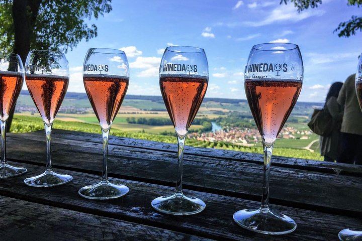 Champagne Day Trip from Paris: Hotel Pickup, Cellars, Vineyard and Lunch, 8 Tastings (3/12)