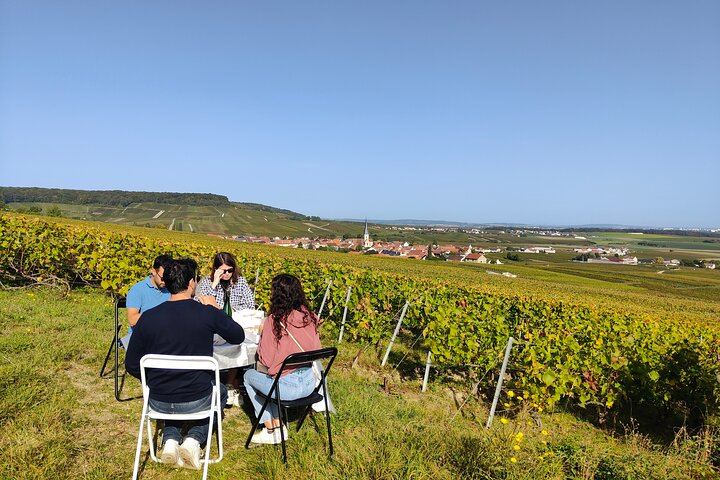 4x4 Defender Vineyard Safari near Reims with Panoramic Champagne Tasting, 2 to 8 Guests (5/12)