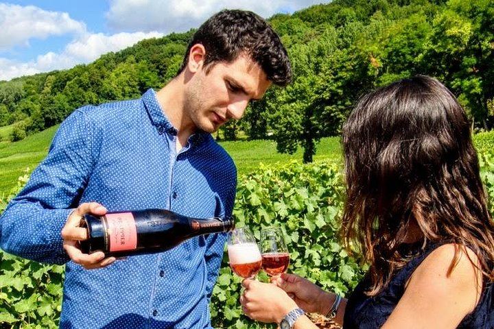 Champagne Day Trip from Paris: Hotel Pickup, Cellars, Vineyard and Lunch, 8 Tastings (1/12)