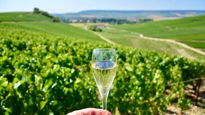Small-Group Champagne Tour from Paris, Sommelier Guide: Place d'Italie Pickup, 2 Wineries (1/12)