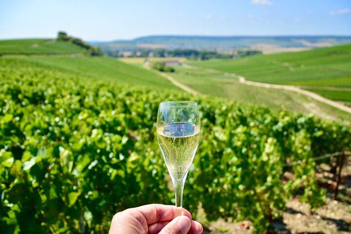 Small-Group Champagne Tour from Paris, Sommelier Guide: Place d'Italie Pickup, 2 Wineries (1/12)