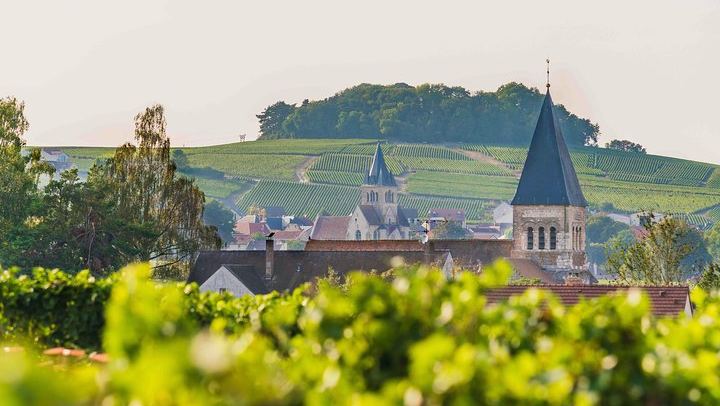 Private Door-to-Door Champagne Tour from Paris: Family Cellar Tasting and Hautvillers (3/12)
