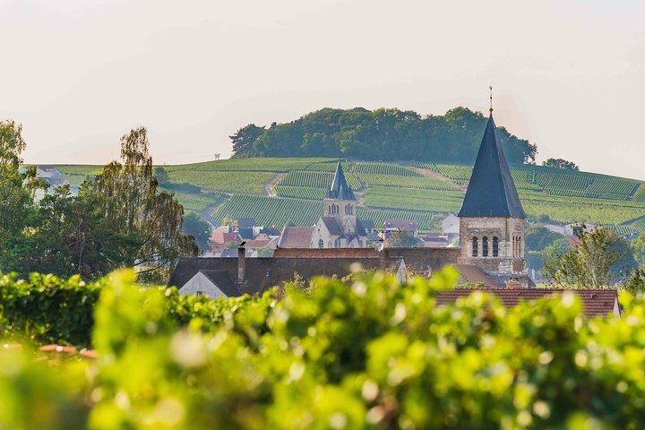 Private Door-to-Door Champagne Tour from Paris: Family Cellar Tasting and Hautvillers (3/12)