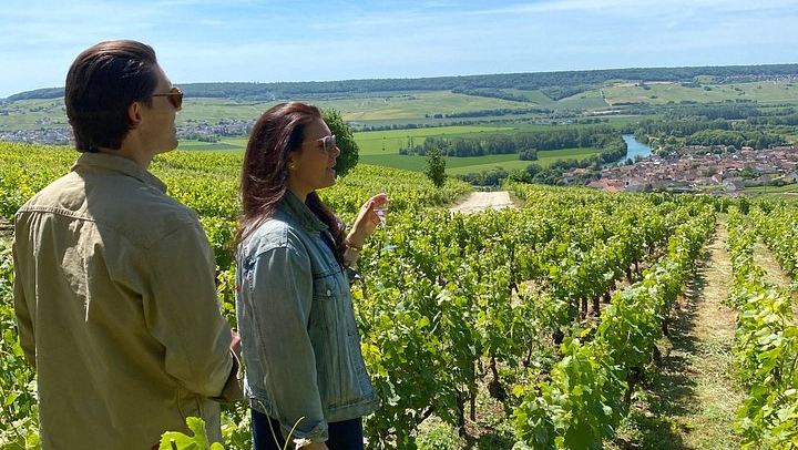 Small-Group Champagne Day from Reims: Cathedral, Two Select Estates, Hautvillers, Épernay (2/12)