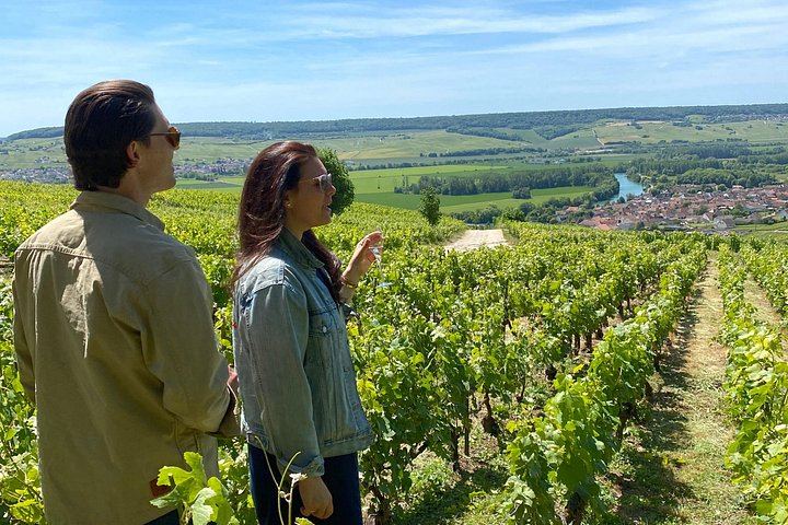 Small-Group Champagne Day from Reims: Cathedral, Two Select Estates, Hautvillers, Épernay (2/12)