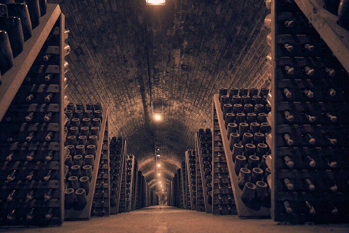 Small-Group Champagne Tour from Paris, Sommelier Guide: Place d'Italie Pickup, 2 Wineries (11/12)