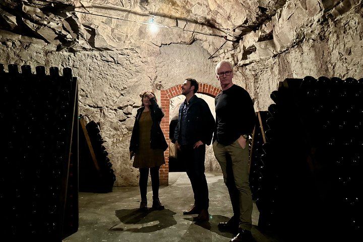 Small-Group Champagne Day from Reims: Cathedral, Two Select Estates, Hautvillers, Épernay (1/12)