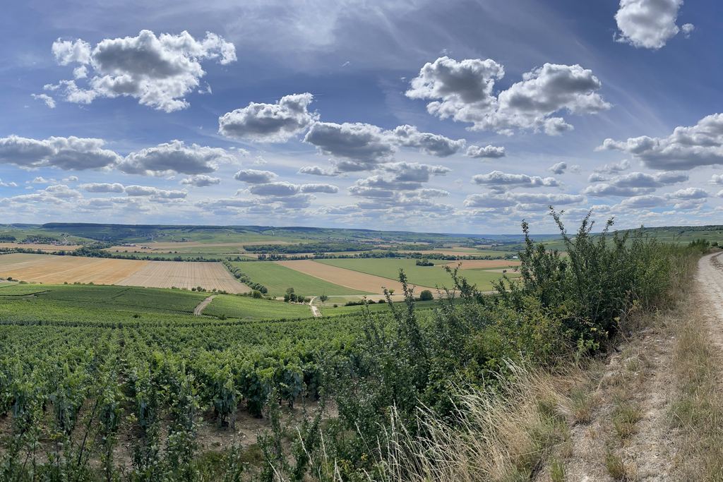 Wide view over Champagne vineyards and fields under a cloudy sky near Reims