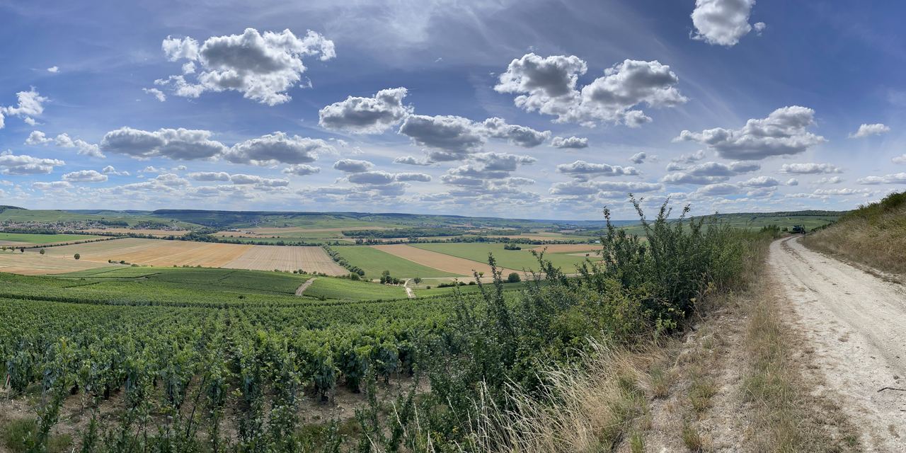 Wide view over Champagne vineyards and fields under a cloudy sky near Reims