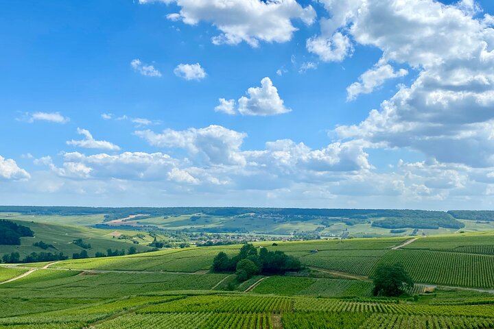 Private Champagne Day from Paris: Ruinart and Veuve Clicquot Cellars, Three Tasting Tiers (3/12)
