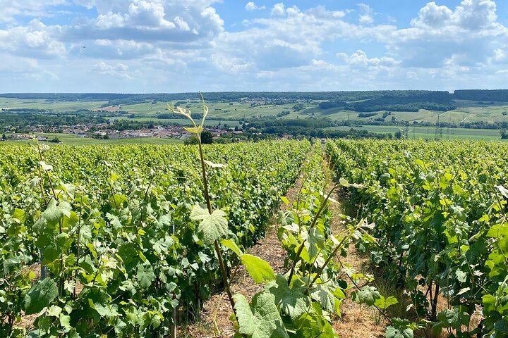 Private Mercedes Day Trip from Paris: Moët & Chandon, Veuve Clicquot, Hautvillers, Reims (5/12)