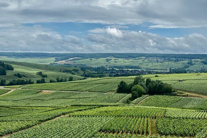 Private Mercedes Day Trip from Paris: Moët & Chandon, Veuve Clicquot, Hautvillers, Reims (12/12)