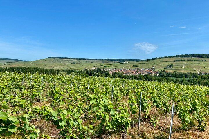 Private Mercedes Day Trip from Paris: Moët & Chandon, Veuve Clicquot, Hautvillers, Reims (7/12)