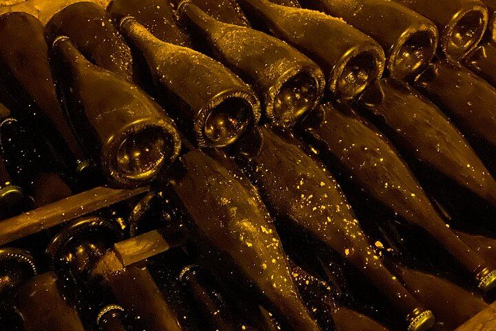 Private Champagne Day from Paris: Ruinart and Veuve Clicquot Cellars, Three Tasting Tiers (12/12)