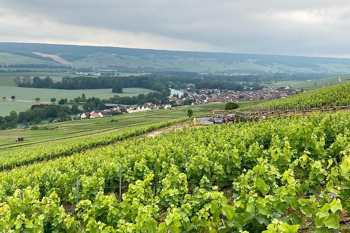 Private Champagne Day from Paris by Mercedes: Moët & Chandon, Taittinger, Four Tastings (9/12)