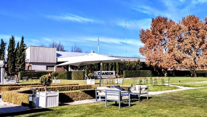 Luján de Cuyo Wine Tour: Caelum Tasting and Paired Lunch at Chandon (3/4)