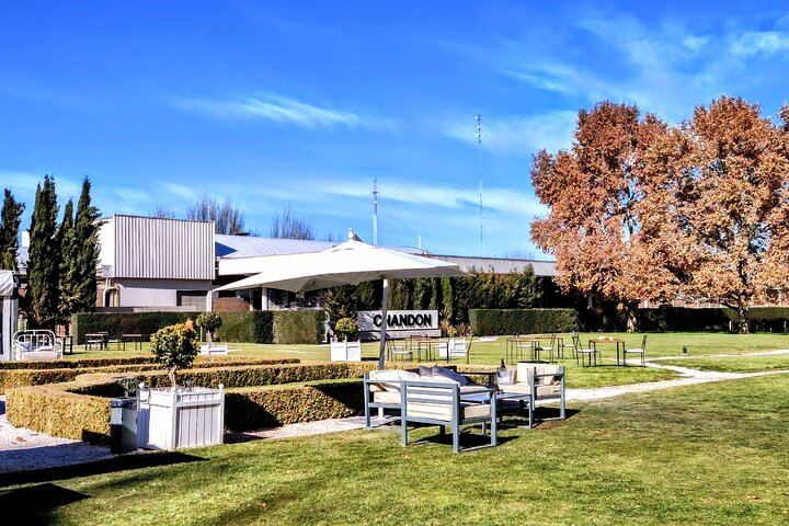 Luján de Cuyo Wine Tour: Caelum Tasting and Paired Lunch at Chandon (3/4)