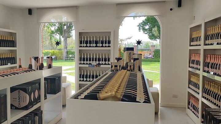 Luján de Cuyo Wine Tour: Caelum Tasting and Paired Lunch at Chandon (4/4)