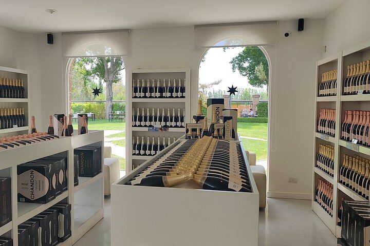 Luján de Cuyo Wine Tour: Caelum Tasting and Paired Lunch at Chandon (4/4)