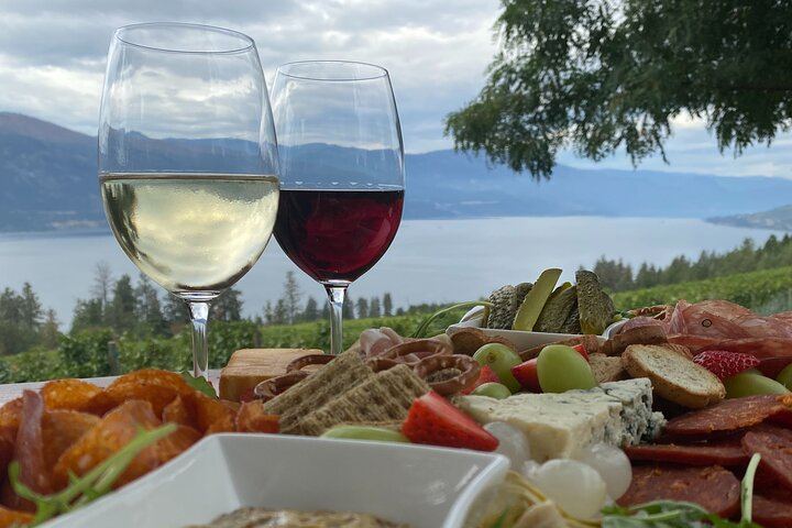 West Kelowna Half-Day Guided Wine Tour: Volcanic Hills, Frind, Mt. Boucherie, Black Swift (5/5)