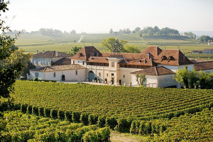 Private Saint-Émilion Wine Trip in a 1973 Citroën DS Convertible, Half or Full Day (5/12)