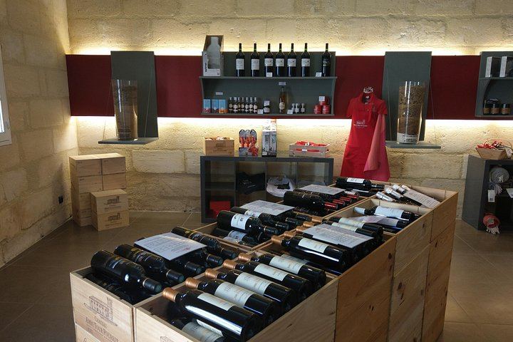 Private Full-Day Saint-Émilion Tour with Hotel Pickup, 3 Châteaux (8/10)