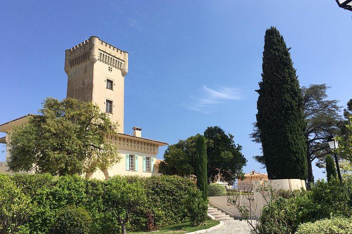 Bellet Hill Organic Wine Half Day from Nice: Two Vineyards and Provence Bites (1/11)