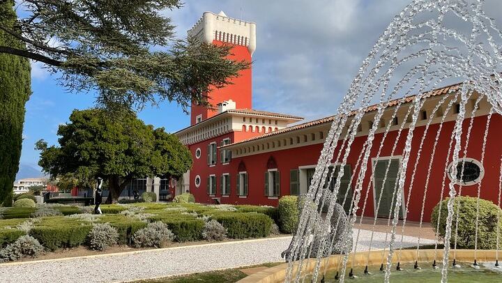 Half-Day Bellet Wine Tour from Nice: Two Wineries, Eight Wines, Small Minivan Group (2/8)