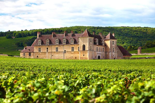 Côte d'Or Wine Tours: Côte de Nuits & Côte de Beaune