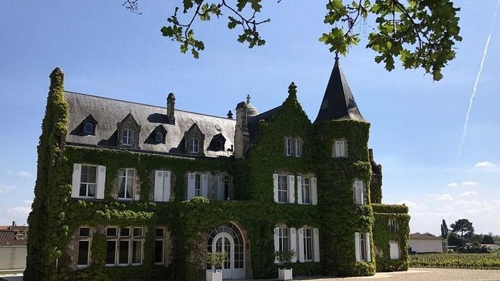 Full-Day Médoc Wine Tour from Bordeaux: Three Wineries, Classified Growths, 9:30am Start (4/10)