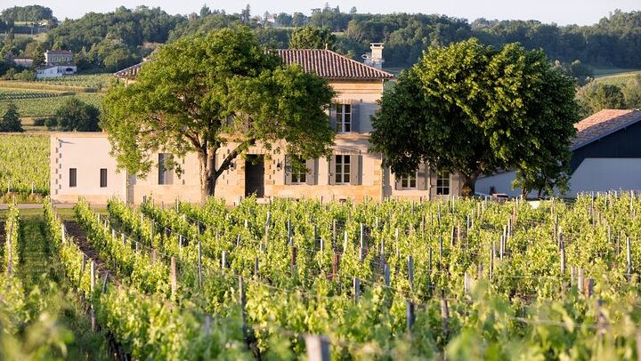 Half-Day Saint-Émilion from Bordeaux: Grand Cru or Pomerol Tasting, Medieval Village Walk (1/11)