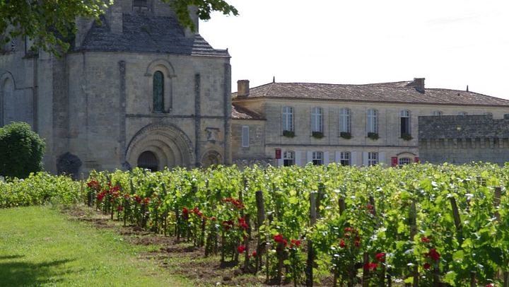 Private Full-Day Saint-Émilion Tour with Hotel Pickup, 3 Châteaux (3/10)