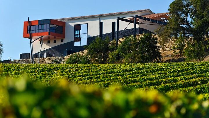 Private Half Day Médoc Wine Tour from Bordeaux with Hotel Pickup and 2 Winery Tastings (4/8)