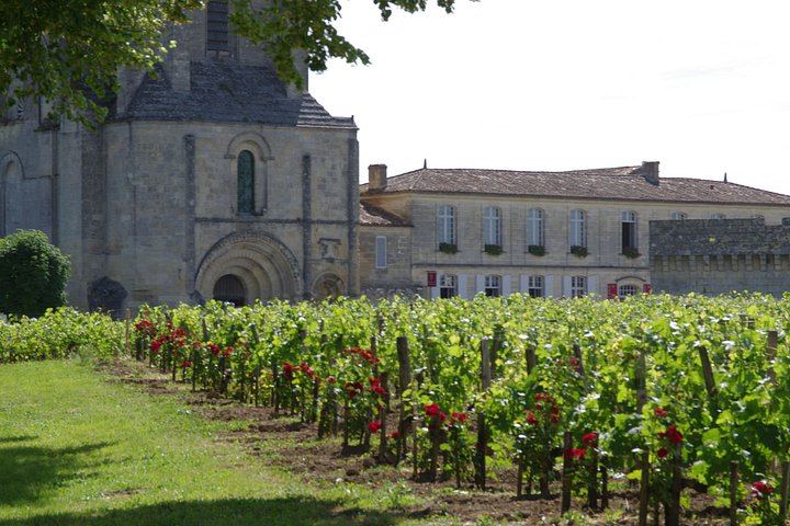 Private Full-Day Saint-Émilion Tour with Hotel Pickup, 3 Châteaux (3/10)