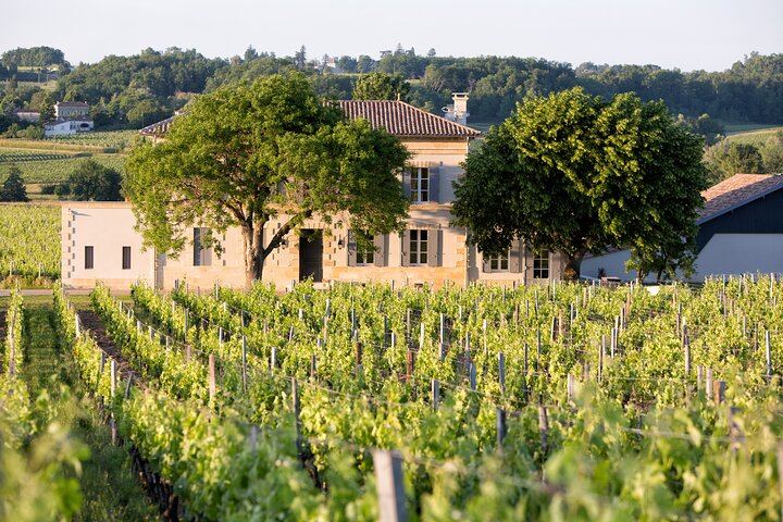 Half-Day Saint-Émilion from Bordeaux: Grand Cru or Pomerol Tasting, Medieval Village Walk (1/11)