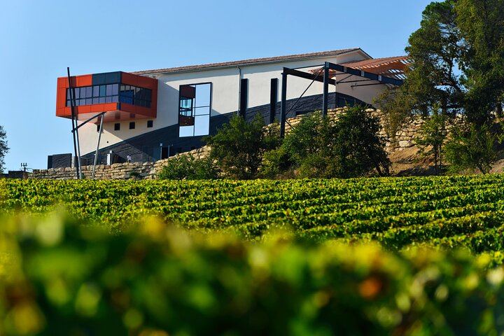 Private Half Day Médoc Wine Tour from Bordeaux with Hotel Pickup and 2 Winery Tastings (4/8)