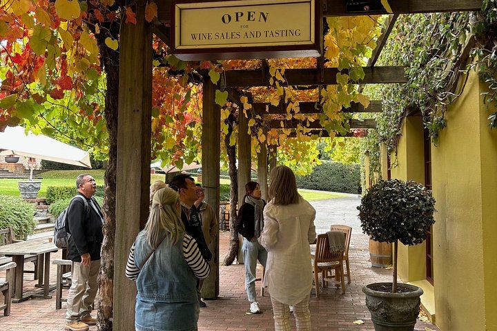 Barossa Valley Private Full-Day Tour for up to 4 in a Land Cruiser Prado (11/12)