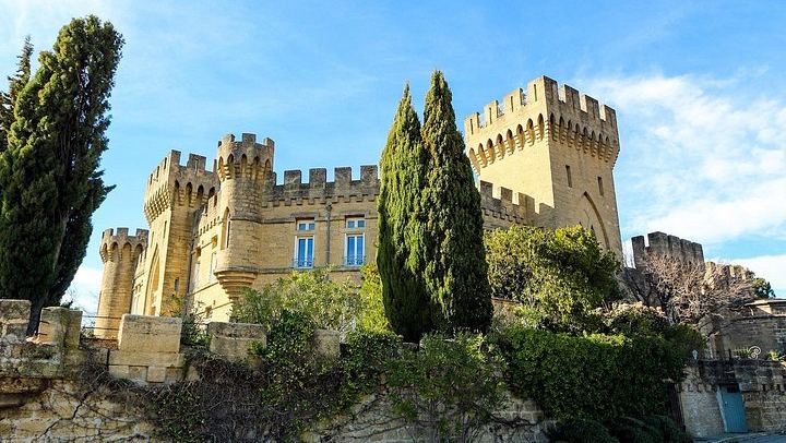 Private Full-Day Châteauneuf-du-Pape Tour: Fortia, La Nerthe, La Gardine, Lunch Stop (3/12)